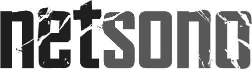 Netsono logo grey
